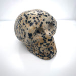 Dalmatian Jasper Skull 2"