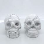 Howlite Giving Skulls